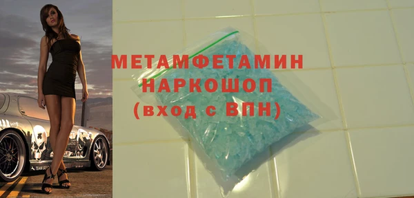 индика Алексин