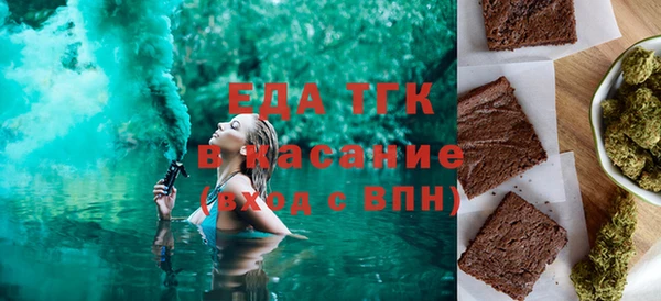 индика Алексин