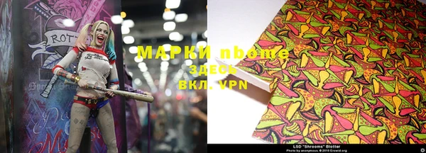 индика Алексин