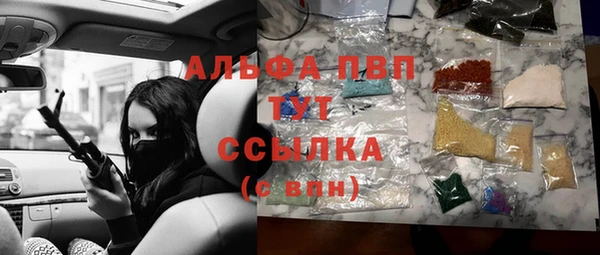 индика Алексин