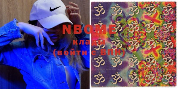 индика Алексин