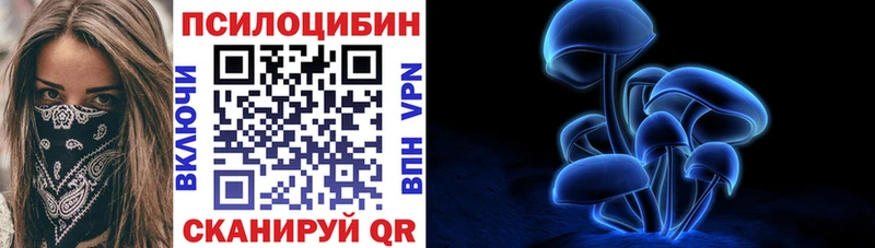 Галлюциногенные грибы Psilocybe  Купить где  Ковров 